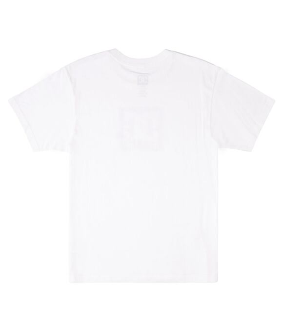 Pánské tričko DC Shoes Square Star Fill, White / Tie Dye