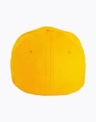 Kšiltovka Meatfly Raptor Flexfit, Black Round/Gold