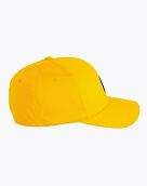 Kšiltovka Meatfly Raptor Flexfit, Black Round/Gold